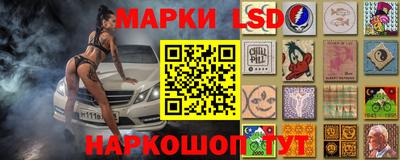 крисы Сланцы