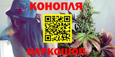 крисы Сланцы