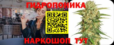 крисы Сланцы
