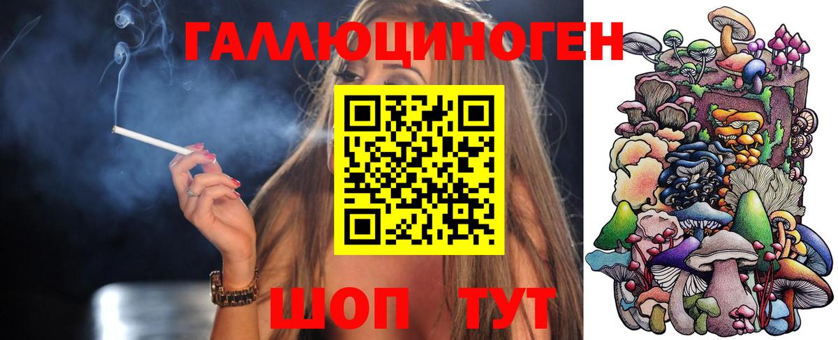 Псилоцибиновые грибы мицелий Пугачёв
